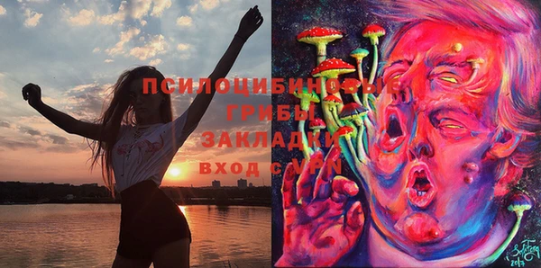 mdma Белокуриха