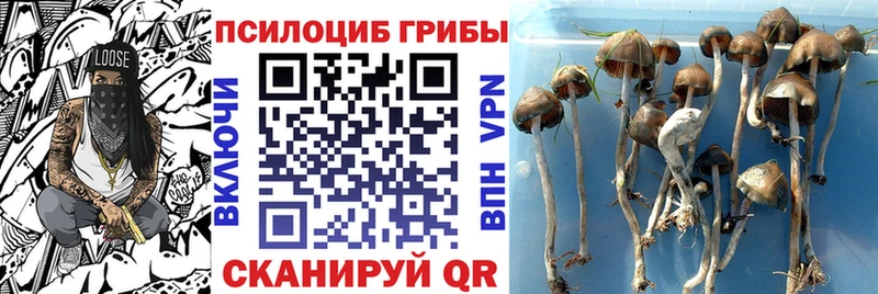 Галлюциногенные грибы мухоморы  где купить наркоту  Томари 